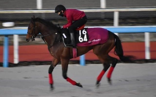 マンオブグリットなど、先週のゲート試験/栗東トレセンニュース