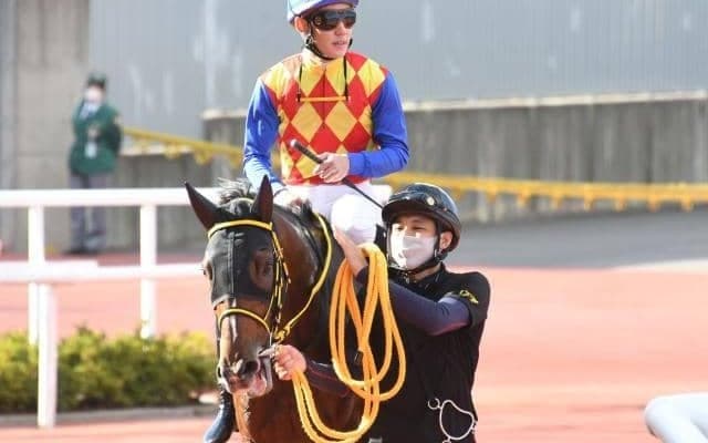 【アルゼンチン共和国杯予想オッズ】テーオーロイヤルが予想1番人気