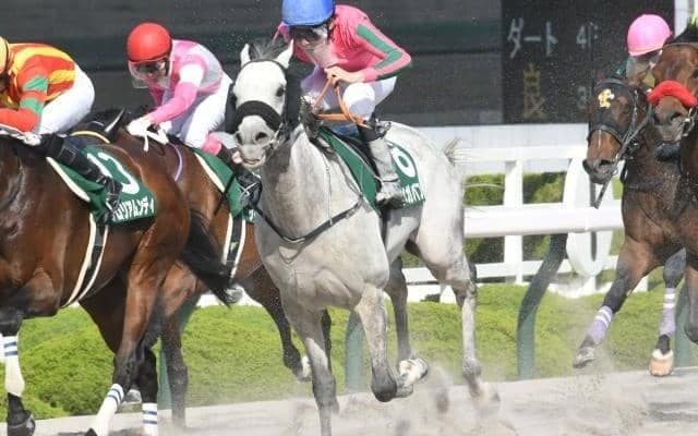 【みやこS予想オッズ】オメガパフュームが予想1番人気