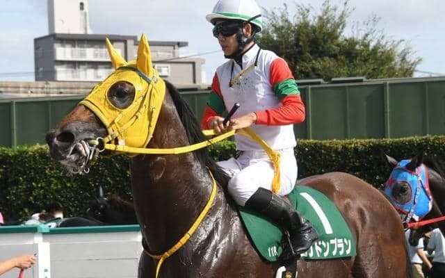 【京王杯2歳S予想オッズ】ロンドンプランが予想1番人気