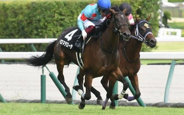 【ファンタジーS予想オッズ】アロマデローサが予想1番人気