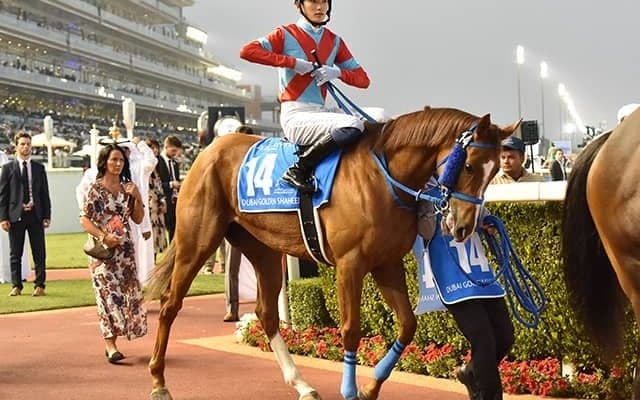 小笠師「理想通り」日本馬出走の米G1ブリーダーズカップ 出馬表が発表