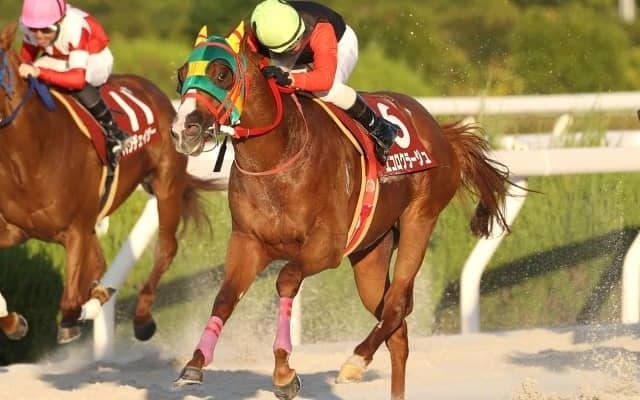 【園田・楠賞結果】地元のエコロクラージュが押し切って重賞2勝目