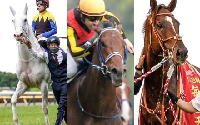 ソダシ、サリオス、ダノンスコーピオンなどGI馬5頭が参戦 マイルCSの出走想定馬11頭