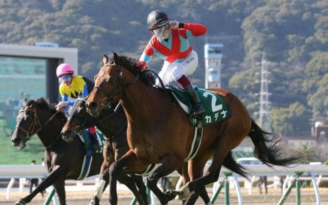 カデナが競走馬登録抹消