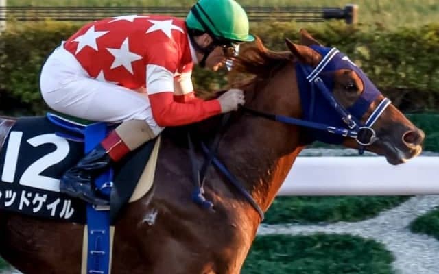 デビュー以来7戦すべて3着内 安定感抜群の3歳馬が来年1月に重賞初挑戦