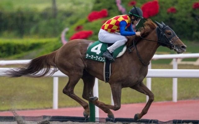 【JBCクラシック】テーオーケインズは7枠13番