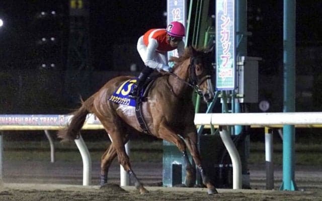 【JBCレディスクラシック】ショウナンナデシコは2枠2番