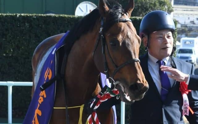 8歳まで現役続けた古豪カデナが引退 今後は北海道で種牡馬に