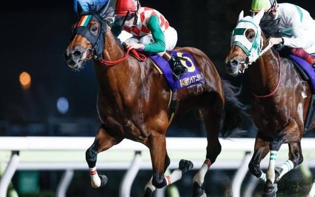 【大井・サンタアニタT結果】スマイルウィがアランバローズとのマッチレースを制す