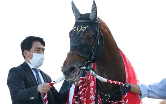 14頭中12頭が重賞ウイナー 連覇か超新星の誕生か/盛岡・JBCスプリント注目馬