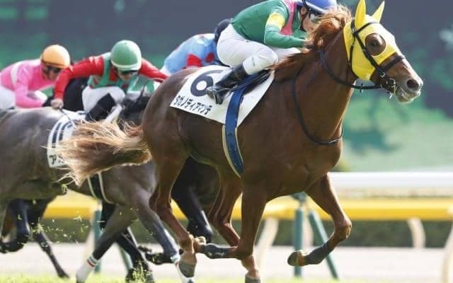 【みやこS展望】チャンピオンズCの前哨戦、あの馬の大駆けを期待したい