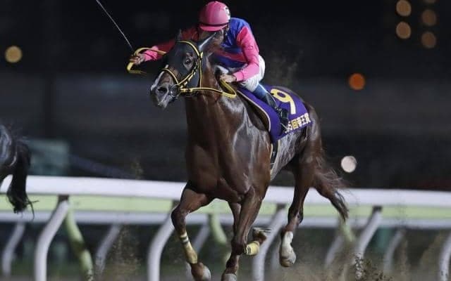 重賞勝ち馬10頭の共演 秋のダート王者決定戦/盛岡・JBCクラシック注目馬