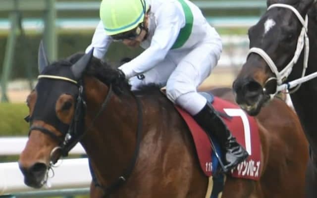 菊花賞3着馬の兄が名物重賞ステイヤーズSに挑む 昨年2着のリベンジへ
