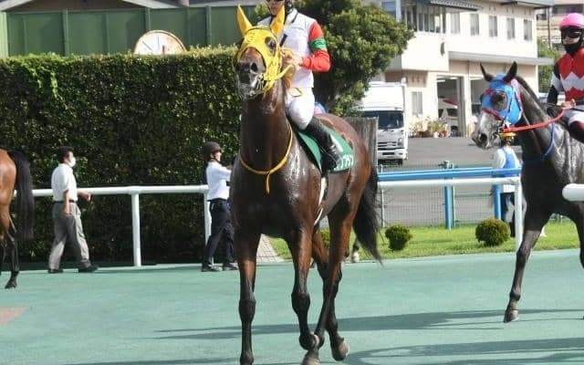 【京王杯2歳S出走馬・騎手確定】ロンドンプラン＆松山弘平騎手、エナジーチャイム＆C.ルメール騎手など18頭