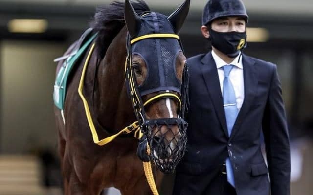 【アルゼンチン共和国杯出走馬・騎手確定】テーオーロイヤル＆菱田裕二騎手、キラーアビリティ＆C.デムーロ騎手など18頭