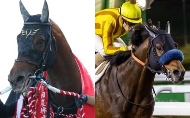 JBCスプリントの15時時点オッズ 前年覇者が支持を集め単勝1倍台に