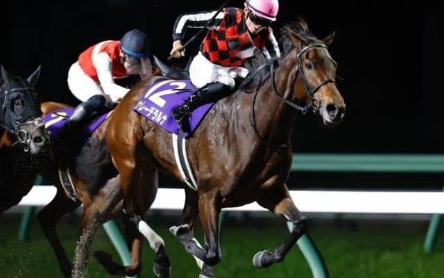 【盛岡・JBCレディスクラシック結果】ヴァレーデラルナが条件戦から一気4連勝で戴冠、岩田望来騎手はGI級初制覇