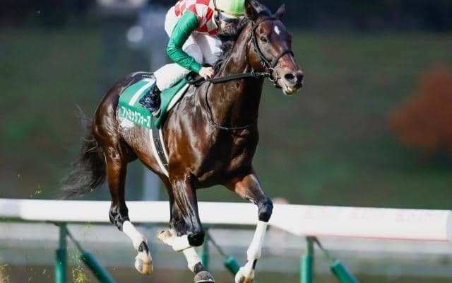 【盛岡・OROカップ結果】船橋のアトミックフォースが人気に応えて圧勝