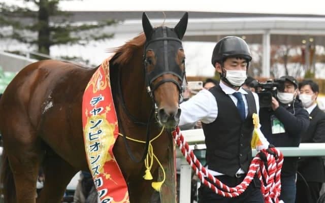 JBCクラシックの16時時点オッズ 1番人気に支持されたのは昨年のJRA最優秀ダートホース