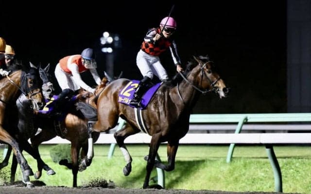 【JBCレディスクラシック】岩田望 ヴァレーデラルナが4連勝でダート女王に