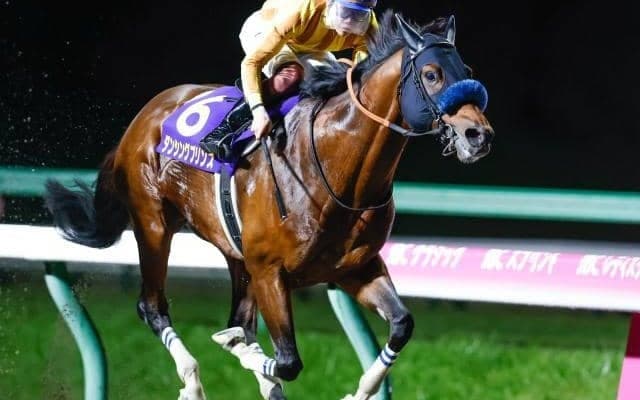 【JBCスプリント結果】ダンシングプリンスが逃げ切りJpnI初制覇 鞍上は三浦皇成騎手