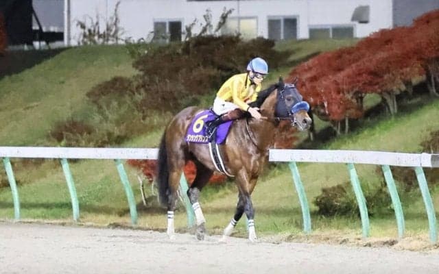 【JBCスプリント】三浦「気は抜けなかった」ダンシングプリンスが交流G1初制覇