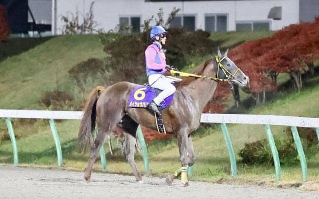 【JBCクラシック】浜中「右回りの方がいい」メイショウハリオは5着敗退