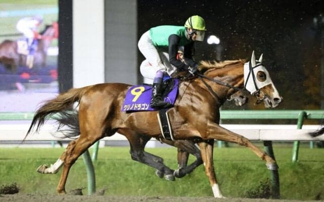 【JBCクラシック】武豊「感慨深い」クリノドラゴンは健闘の4着