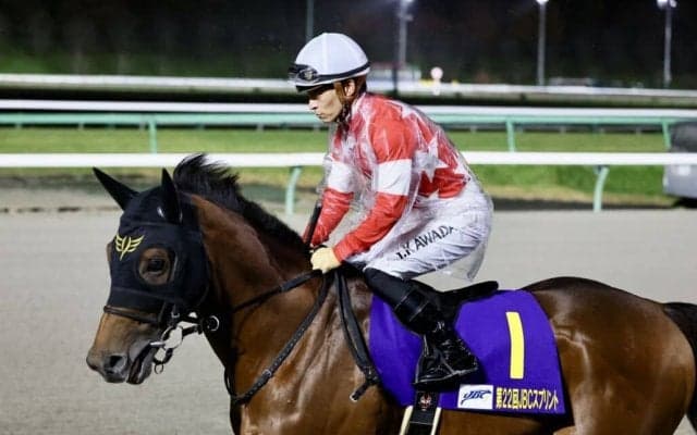 【JBCスプリント】川田「気持ちが入りすぎていて…」人気のレッドルゼルは4着敗退