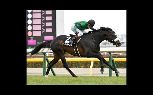 アルゼンチン共和国杯は東京で連対率９割の「コース巧者」に期待。オルフェーヴル産駒の末脚にも注目