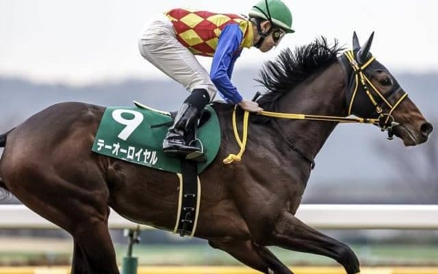 【アルゼンチン共和国杯枠順確定】テーオーロイヤルは3枠5番、キラーアビリティは3枠6番