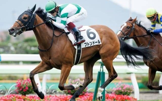 【ファンタジーS枠順確定】アロマデローサは8枠11番、ブトンドールは5枠5番