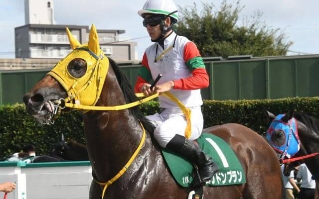 【京王杯2歳S枠順確定】ロンドンプランは大外8枠18番、エナジーチャイムは5枠9番