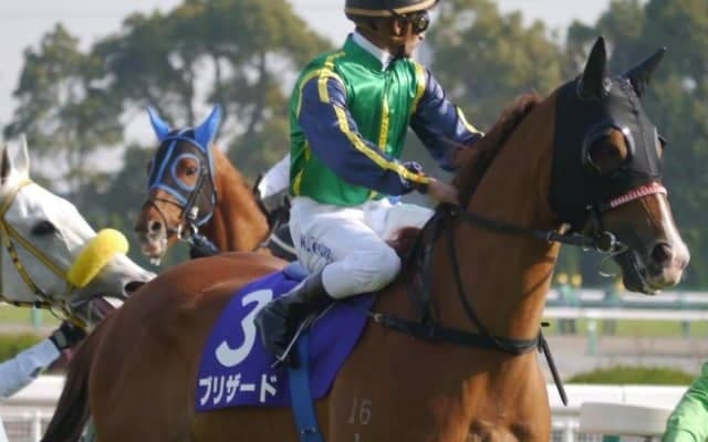 ニュージーランド殿堂入りを果たした名馬が永眠 ルメール騎手「私が乗った偉大な馬の1頭」