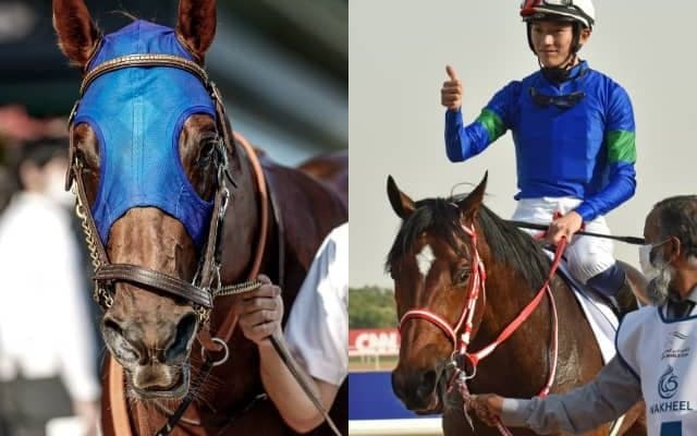 前走OPを4馬身差で圧勝 『ダートの怪物』候補が重賞挑戦か 武蔵野Sの出走想定馬19頭