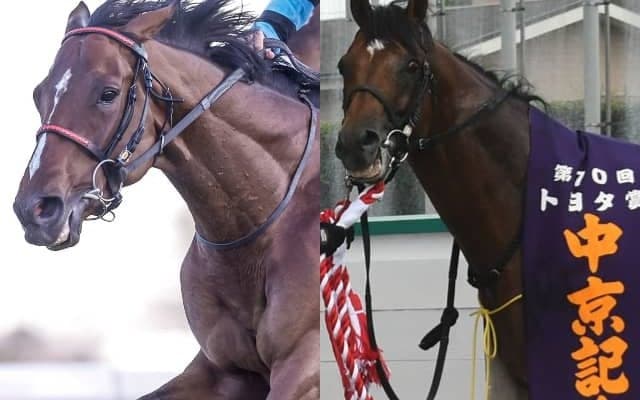 3歳馬オニャンコポンが古馬と初対決 福島記念の出走想定馬17頭