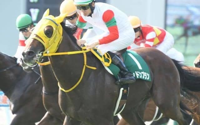 【今日の注目ポイント】東京で京王杯2歳S、阪神ではファンタジーS