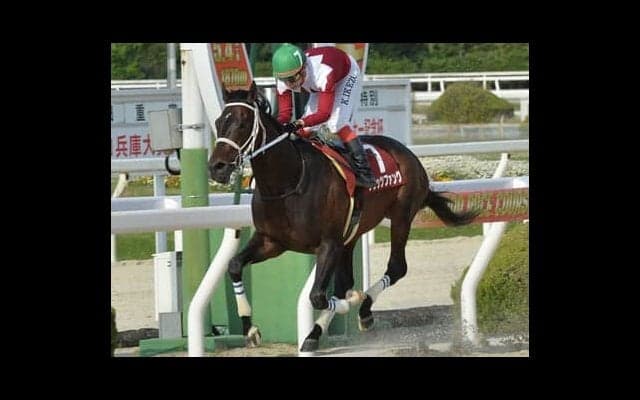 みやこＳは「休み明けの馬は勝てない」。穴党記者はひと叩きした伏兵２頭の一変に期待