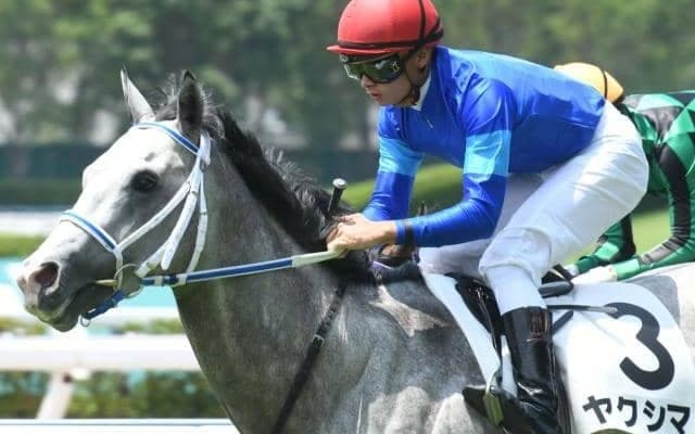 【京王杯2歳S予想】朝日杯FSの前哨戦 波乱傾向の京王杯2歳Sの注目馬とは？