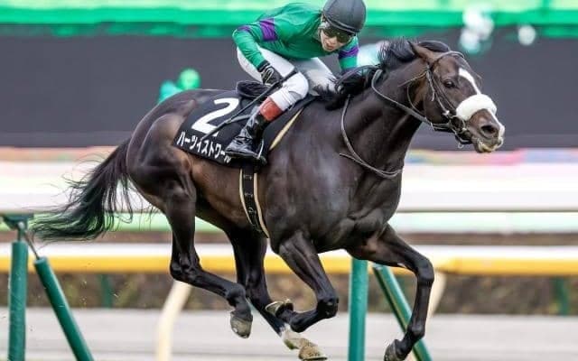 【AR共和国杯予想】激走馬は後方待機組!? 晩秋の東京で走る季節馬は…