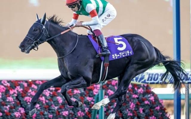 【アルゼンチン共和国杯】出走馬の弟がレース前日に次々勝利！ 兄たちは弟の勝利に続けるか