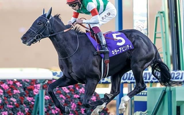 【アルゼンチン共和国杯予想】ディープインパクト産駒の鬼門!? 東京が舞台も特殊なレース