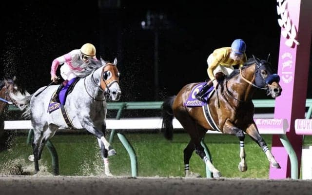 【JBCスプリント 回顧】先行馬が揃うもペースはさほど上がらず