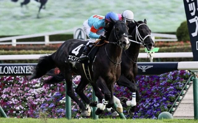 【ノベンバーS】エピファニーが4連勝でOP入り