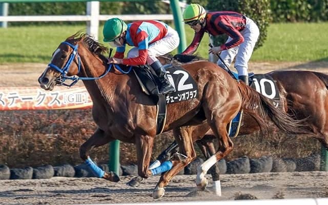 【米・BCフィリー＆メアスプリント結果】グッドナイトオリーブが6連勝、日本のチェーンオブラブは10着