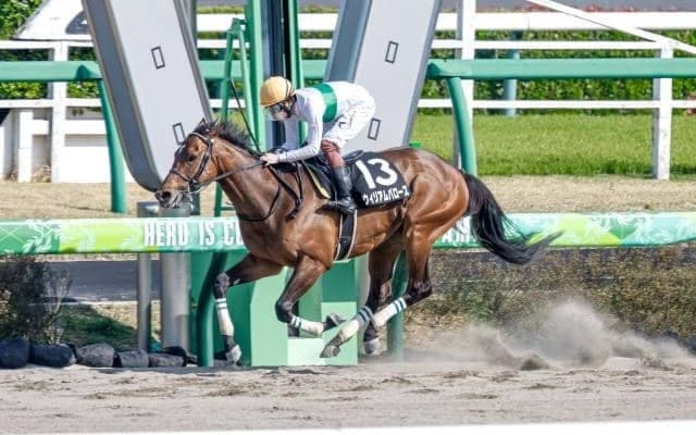 【みやこS予想】芝並みのスピードを誇るニュースター誕生の予感