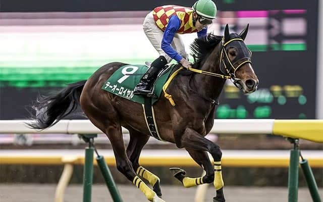【アルゼンチン共和国杯・馬体重】テーオーロイヤルは458kg(-2)、キラーアビリティは470kg(+10)
