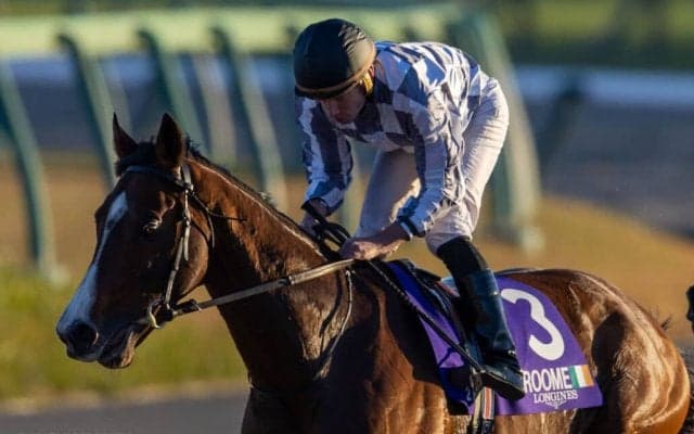 【BCターフ】キーファーズ所有 ブルームは出遅れ響いて6着敗退