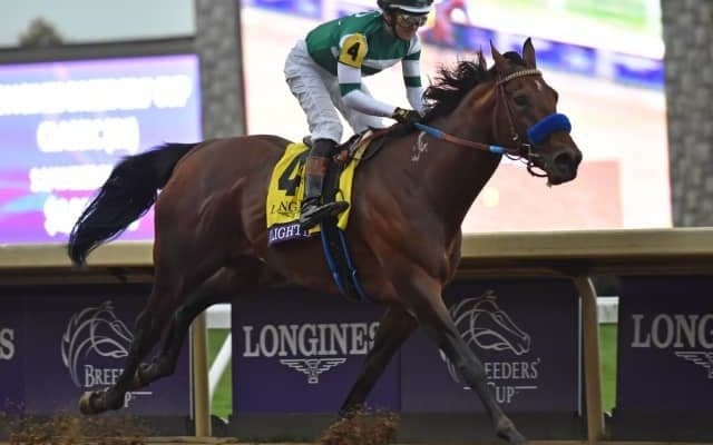 米G1・ブリーダーズカップ2022勝ち馬の一覧 世界レーティング1位「無敗の怪物」フライトラインなど